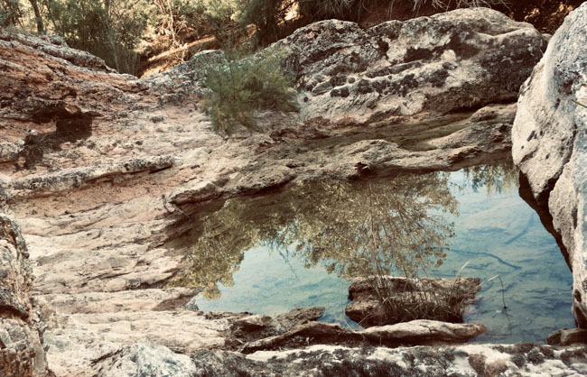 landschaft