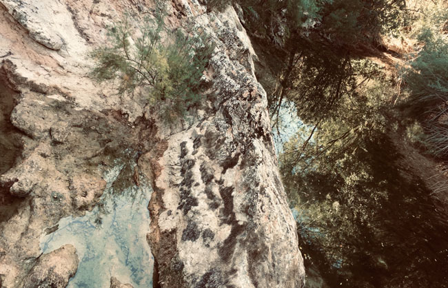landschaft