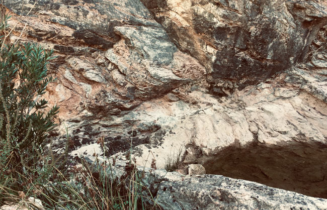 landschaft