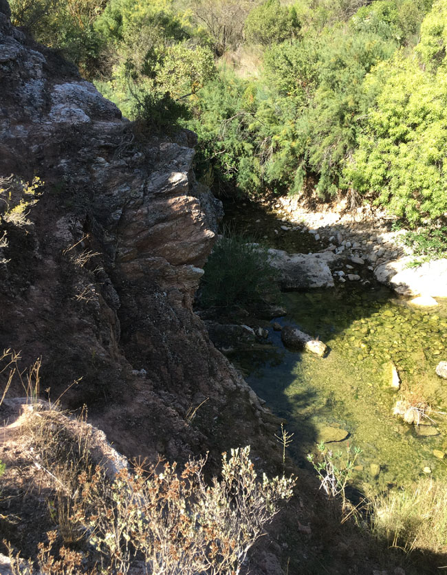landschaft