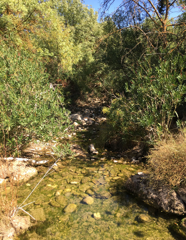 landschaft